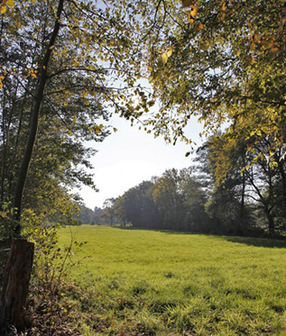 Rahlstedter Stadthäuser - Baugrundstück Rahlstedter Stadthäuser - Baugrundstück