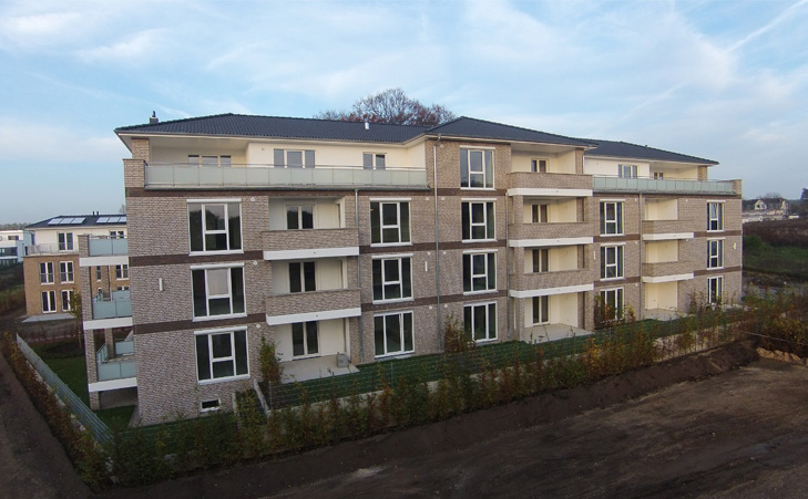 Zwillingsbuche Ahrensburg - Baustellenbild