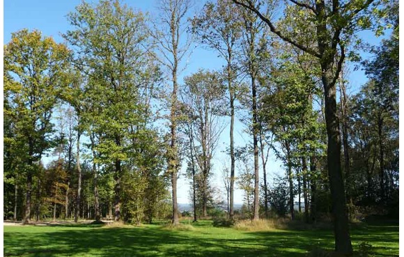 Senioren WG Haus Glockenspitz - Park hinterm Haus