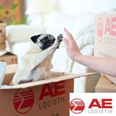 A&E Logistik GmbH & Co. KG in Karlsruhe