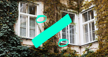 Fassade eines historischen Gebäudes mit weißen Sprossenfenstern, das vollständig von Efeu und herbstlichem Weinlaub bewachsen ist. Drei große Fenster sind sichtbar - zwei im Erdgeschoss und eines im Obergeschoss. Das Mauerwerk ist fast vollständig von der üppigen Vegetation verdeckt. Über das Bild ist ein türkisfarbene grafisches Element gelegt, das ein Prozentzeichen darstellt.