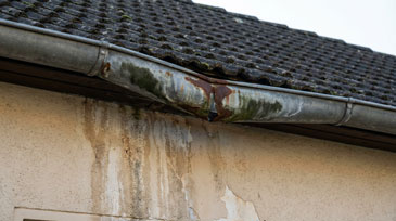 Detailaufnahme einer schadhaften Dachrinne und Fassade, die deutliche Anzeichen von Witterungsschäden und mangelnder Wartung zeigt. Die verzinkte Dachrinne weist starke Korrosion auf - sie ist an mehreren Stellen durchgerostet und zeigt braun-rötliche Rostflecken sowie grünliche Verfärbungen durch Oxidation. Die Rinne ist teilweise verformt und hat sichtbare Löcher, durch die Wasser austreten kann.