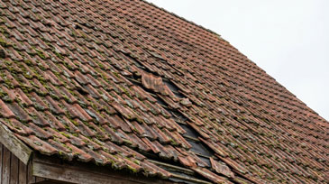 Aufnahme eines stark beschädigten Ziegeldachs, das deutliche Anzeichen von Verfall und dringendem Sanierungsbedarf zeigt. Das rötlich-braune Ziegeldach weist multiple Schäden auf: Mehrere Dachziegel sind gebrochen, verschoben oder komplett herausgefallen, wodurch Löcher in der Dachdeckung entstanden sind. Durch diese Öffnungen ist die darunterliegende schwarze Dachpappe oder Unterspannung sichtbar. Das gesamte Dach zeigt starken Bewuchs mit grünem Moos und Flechten, was auf dauerhafte Feuchtigkeit und mangelnde Wartung hindeutet