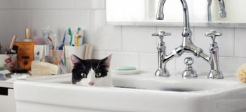 Aktueller Rechtstipp: Umlage Grundgebühr