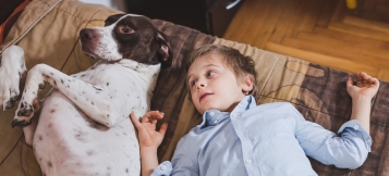 Selbstjustiz mit Pitbull 