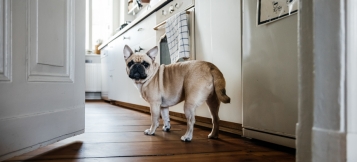 Streichen ja – ölen nein